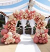 Pudra Gold Balon Kemer Arka Fon