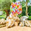 Renkli Balon Buketi Fiyatları