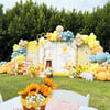 Winne The Pooh Doğum Günü Organizasyon