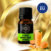 A-bslt Mango Tahıl Aroması - Hazır Kit