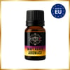Mavi Agave Aroması - Hazır Kit