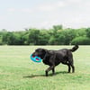 Chuckit! Fetch Flight Frizbi