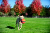 Chuckit! Kick Fetch (Büyük Boy)