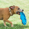 Chuckit! Whistle Flight Sesli Frizbi