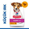 Hills 1.5kg Small & Miniature Puppy Tavuklu Küçük Irk Yavru Köpek Maması