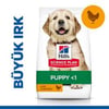 Hills 2.5kg Puppy Large Tavuklu Büyük Irk Tavuklu Yavru Köpek Maması 