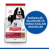 Hills 2.5kg Lamb Kuzulu Yetişkin Köpek Maması