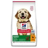 Hills 2.5kg Puppy Large Tavuklu Büyük Irk Tavuklu Yavru Köpek Maması 