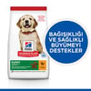 Hills 2.5kg Puppy Large Tavuklu Büyük Irk Tavuklu Yavru Köpek Maması 