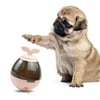 Nunbell Pupy Egitim Oyuncagı