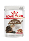 Royal Canin 12 yaş ve Üzeri Kediler için Yaş Kedi Maması 85g