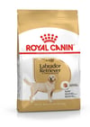 Royal Canin Labrador Retriever Yetişkin Kuru Köpek Maması 12kg