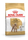 Royal Canin Poodle Yetişkin Kuru Köpek Maması 3kg