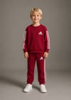 3 iplik unisex %100 pamuk ADLUC takım
