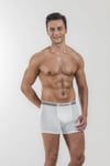 Erkek Stretch Boxer