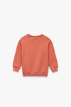 Koton Erkek Bebek Şardonlu Kaplan İşlemeli Uzun Kollu Bisiklet Yaka Sweatshirt