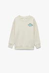 Koton Erkek Bebek Uzun Kollu Bisiklet Yaka Dinozor Baskılı Pamuklu Şardonlu Sweatshirt