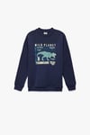 Koton Erkek Çocuk Dinozor Baskılı Şardonlu Uzun Kollu Bisiklet Yaka Sweatshirt
