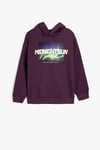 Koton Erkek Çocuk Oversize Kapşonlu Sweatshirt Baskı Detaylı Uzun Kollu