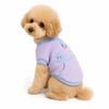 DolcePets Dinozor Sweatshirt/Mor