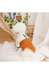 Dolcepets /kedi Köpek Kıyafeti & Elbisesi Polar Ceket/turuncu