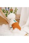 Dolcepets /kedi Köpek Kıyafeti & Elbisesi Polar Ceket/turuncu