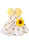 DolcePets SunFlower Dress/Ayçiçeği Elbise
