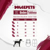 DolcePets Takım Elbise/Bordo