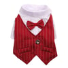 DolcePets Takım Elbise/Bordo