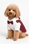 DolcePets Takım Elbise/Bordo