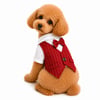 DolcePets Takım Elbise/Bordo