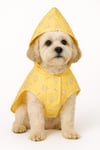 DolcePets/İce Cream Köpek Yağmurluğu