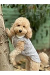 Kedi Köpek Kıyafeti & Elbisesi Köpek Yeleği Puffer Vest Gri