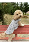 Kedi Köpek Kıyafeti & Elbisesi Köpek Yeleği Puffer Vest Gri
