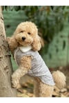 Kedi Köpek Kıyafeti & Elbisesi Köpek Yeleği Puffer Vest Gri