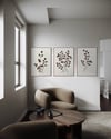 Ocaliptus Calm Dokulu Tablo 3'lü Set