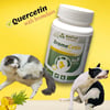 BromeCetin®Powder