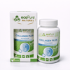 Collagen Plus powder ® kedi ve köpekler için kalça-eklem desteği  40g