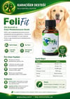 FeliFit – Kedi ve Köpekler İçin L‑Karnitin ve Taurin İçeren Kilo Kontrol Takviyesi
