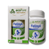 Felisyl ® Kedi Bağışıklık Güçlendirici lizin 50 g