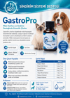 GastroPro Mide Koruyucu