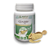 Ginger®Powder Dog & Cat 40g