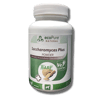 Saccharomyces Plus® Powder 120g BARF