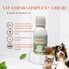 Vitamin B Complex®Liquid Dog & Cat 100ml