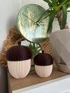 Dekoratif Meşe Palamutu Biblosu, 2Adet, 15cm-11cm