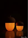 Dekoratif Meşe Palamutu Biblosu, 2Adet, 15cm-11cm, 2 Adet Tealight Dahil