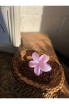 Lila Lotus Saç Tokası