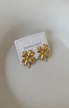 Gold Yonca Küpe