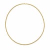 Burgu Zincir Kolye  - 14k Altın Kaplama - 55 cm (3 mm)