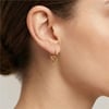 Melodi Düğüm Detaylı Spiral Küpe - 14k Altın Rengi Kaplama, 2 cm